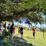 IMG_20250524_171413